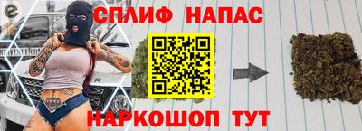 стаф Тара