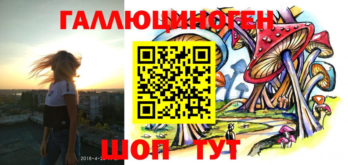 Псилоцибиновые грибы Cubensis  Вход с VPN  Артём 