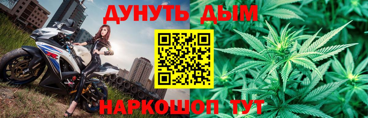 МАРИХУАНА Amnesia  Конопля сатива  Бошки Шишки планчик  Артём  Конопля индика  Вход с VPN 